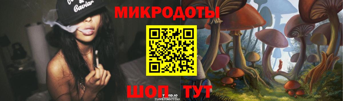 Новороссийск  Псилоцибиновые грибы Cubensis  Вход с VPN 